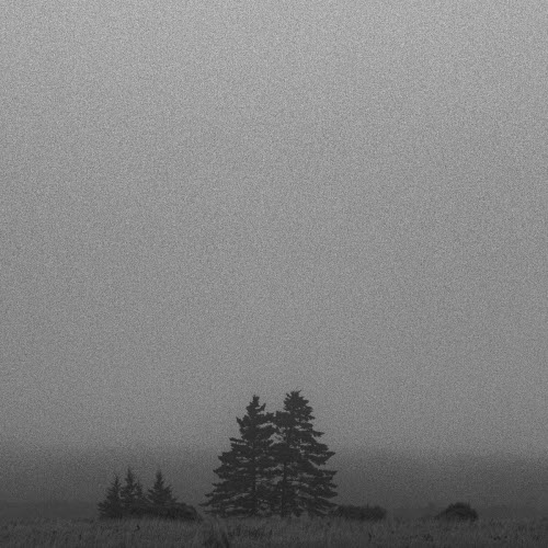 Hxvsfly - Nothing (2025) [Single]
