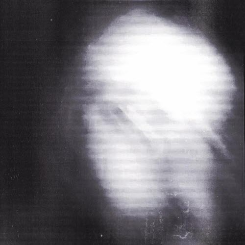 Hxvsfly - Twelve (2026) [Single]
