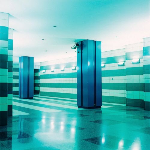 French Police - Reptile / Japan (2026) [Single]