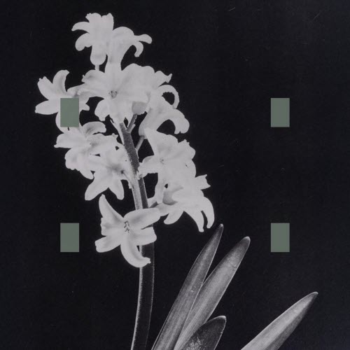 Trianglecuts - When Death Leaves (2026)