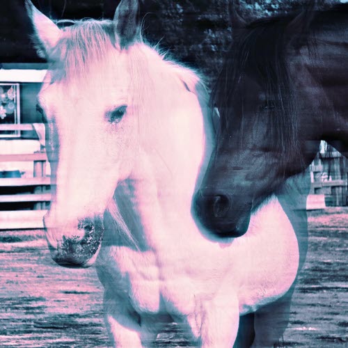 Lovemercury - Eternal (2026) [EP]