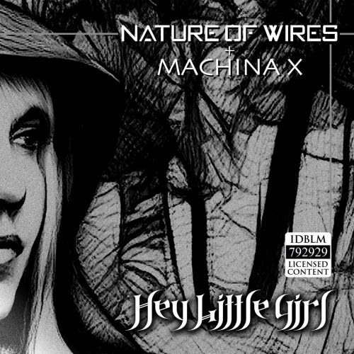Nature Of Wires - Hey Little Girl (2026) [Single]