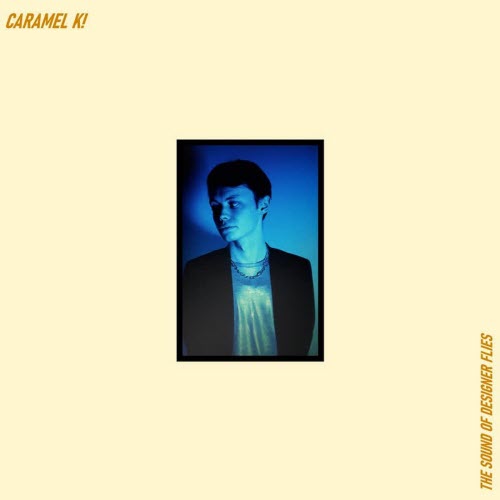 Caramel K - The Sound Of Designer Flies (Buzzing Around Your Room) (2023)