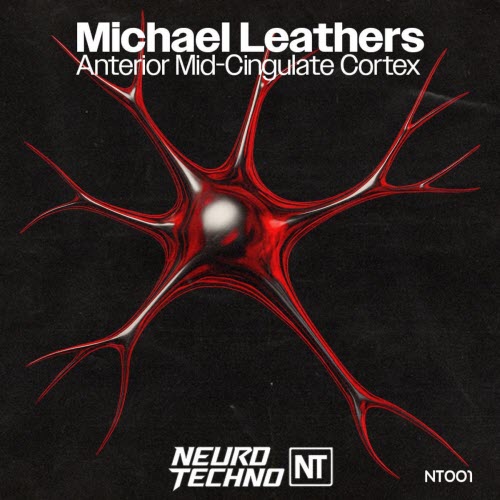 Michael Leathers - Anterior Mid-Cingulate Cortex (2025) [Single]