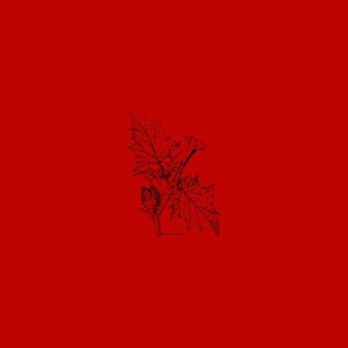 Eyeroll Induction - Mother Fcker (2026) [Single]