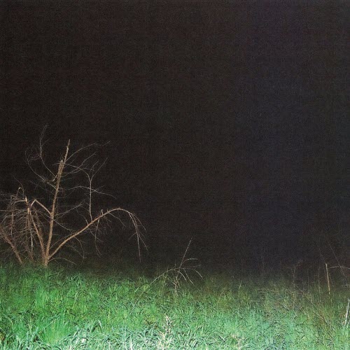 Future Nobodies - They Don't Know You Like I Know You (2026) [Single]