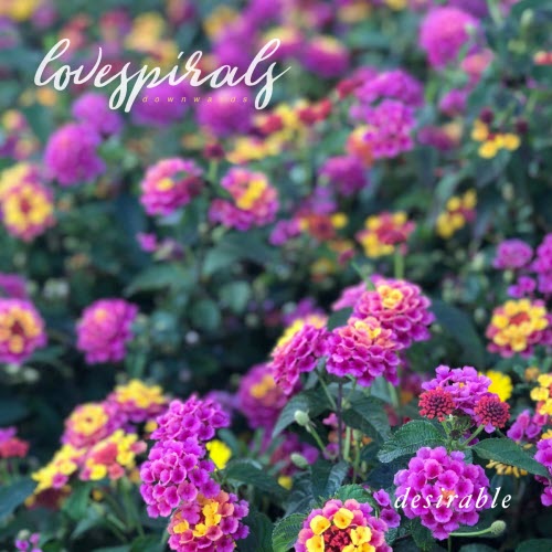 Love Spirals Downwards - Desirable (2026) [Single]