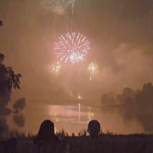 Flowerbabe - Apricity (2026) [Single]