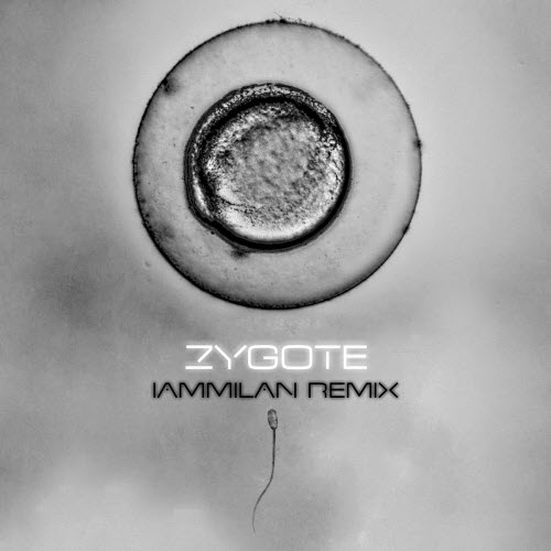 Xxäm - Zygote (iammilan Paris To Versailles) (2026) [Single]
