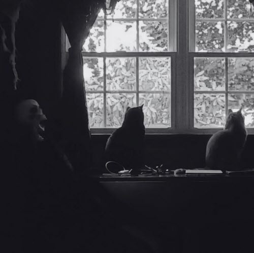 Ghastly Shadows - River View Score (2024) [Single]