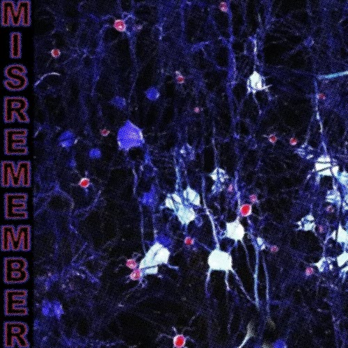 Oddysseys - Misremember (2023) [EP]