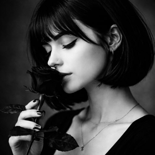Anne Bloom - Black Rose (2026)