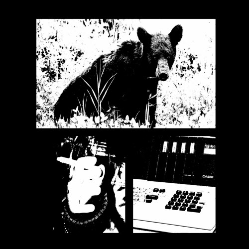 Balduvian Bears - Black Bear (2026) [Single]