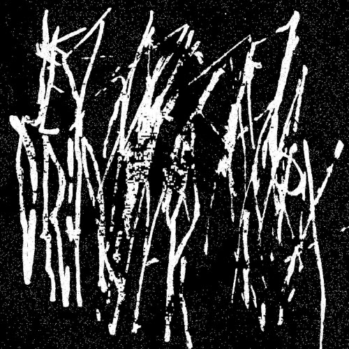 Jesse Draxler - Asbestos (2026) [Single]