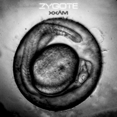 Xxäm - Zygote (2026) [EP]