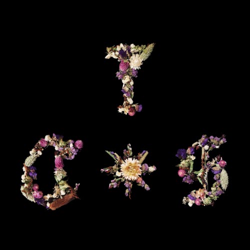 Thee Counterfeit Sanctum - Thee Counterfeit Sanctum (2026)