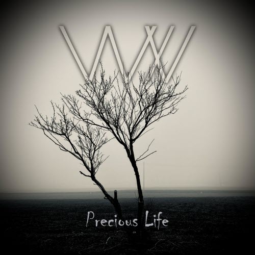 Waiting In Vain - Precious Life (2026) [Single]