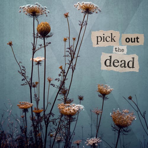 VH x RR - Pick Out The Dead (2026) [Single]