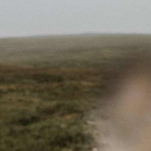 Pigeon Steve - I Will Have A Think (2025) [EP]