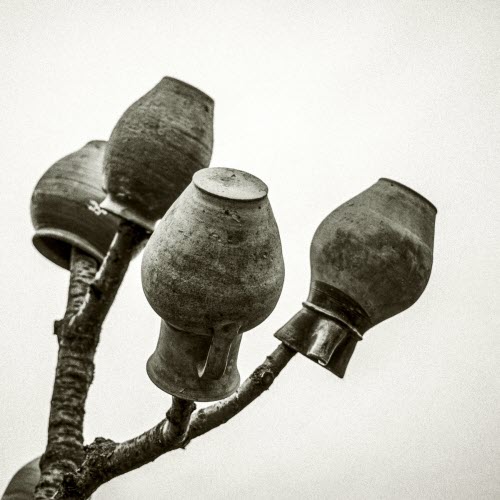 Tsarewitch - Yer (2025) [EP]