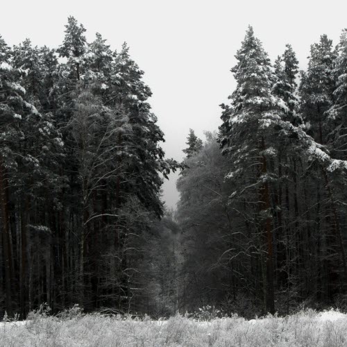 Harijs Višņevskis - Demo II - Nomaļas Vārtos (2023) [EP]