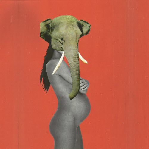 Anvil FX - Mulher Elefante (2024) [EP]